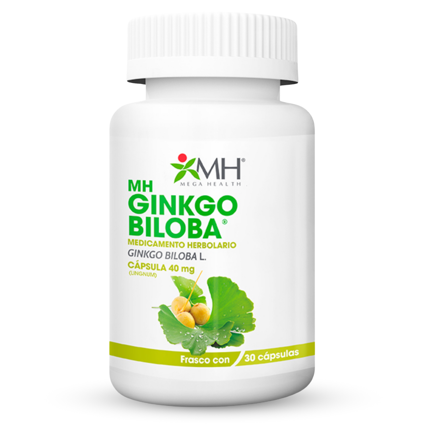 MH GINKGO BILOBA